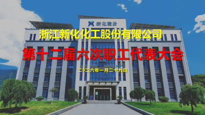 新化股份召开第十二届六次职代会